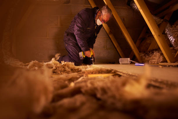 Best Garage Insulation Installation  in Lake St Croix Beach, MN
